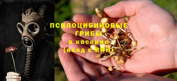 не бодяженный Михайловск