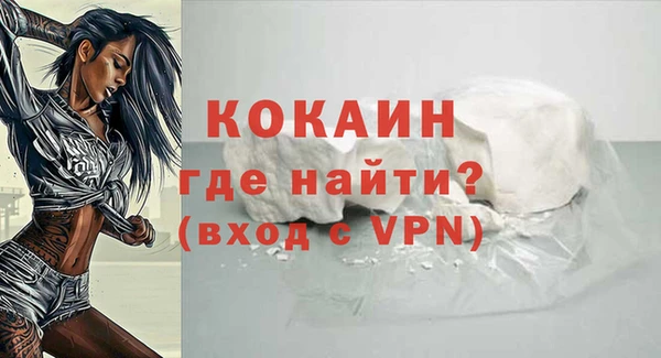 СК Медвежьегорск