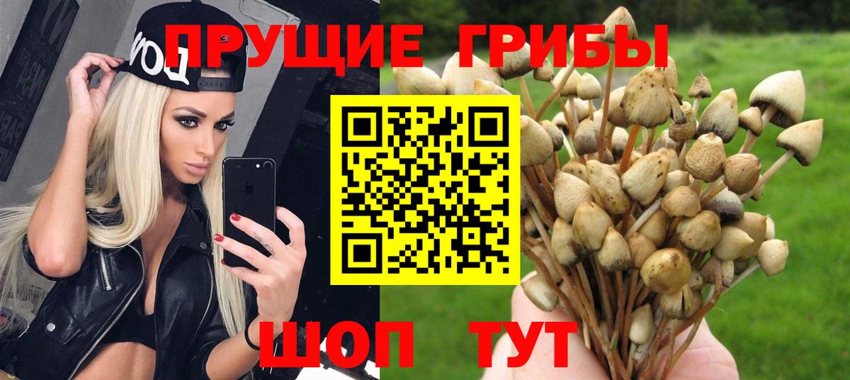 Галлюциногенные грибы MAGIC MUSHROOMS  наркотики  Дятьково  Галлюциногенные грибы Cubensis  Вход с VPN 