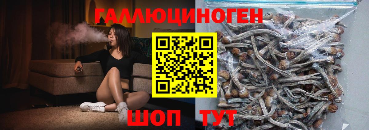 Псилоцибиновые грибы GOLDEN TEACHER Дятьково