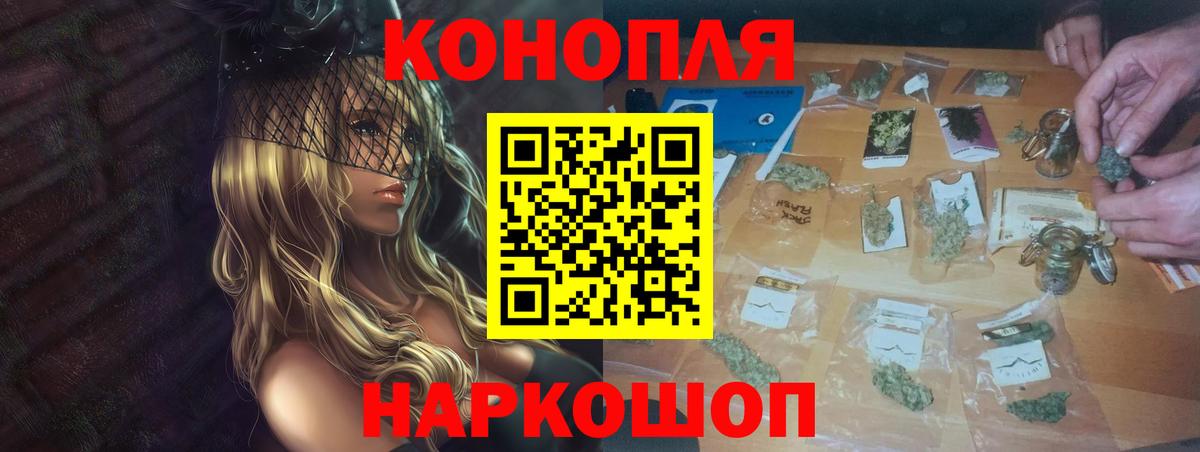 Бошки Шишки план Дятьково